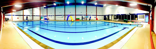 Read more about the article Welcome to the new SWIMS website